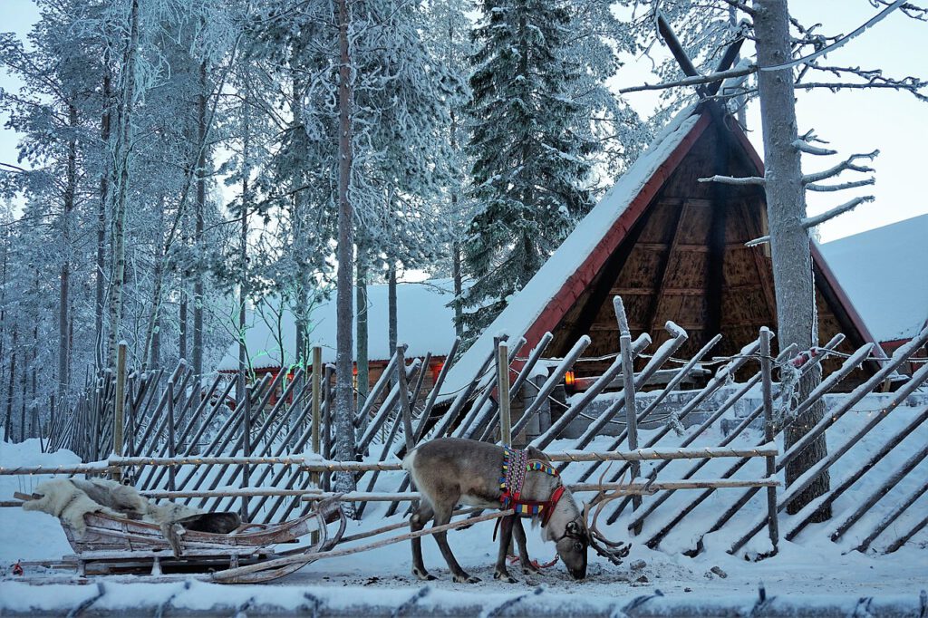 In Santa's Village in Rovaniemi in Finland kun je een sleerit met rendieren maken