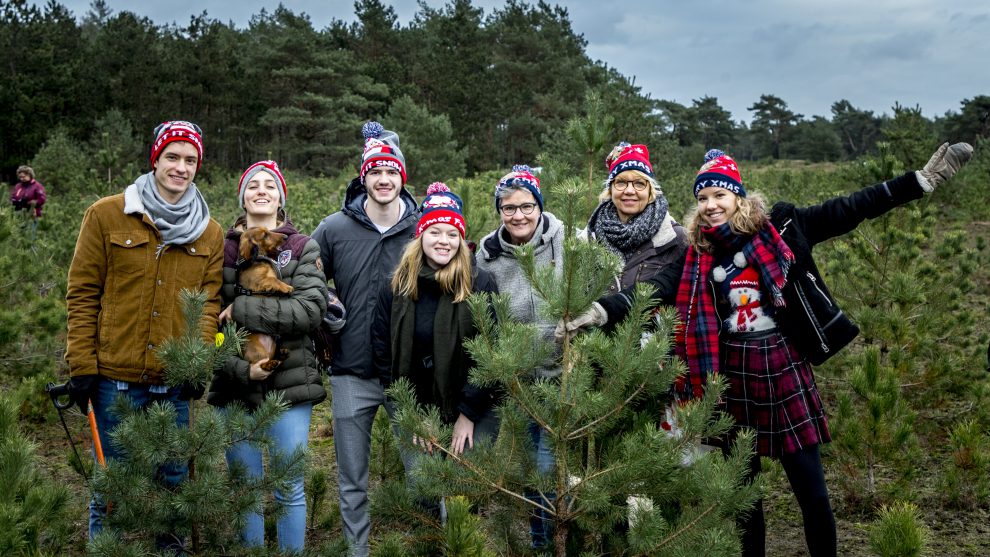 Gaaf: op deze locaties in Nederland mag je zelf je kerstboom omzagen (2023)